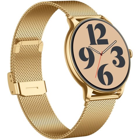 SMARTWATCH DAMSKI GRAVITY GT31-2 - AMOLED, DODATKOWY PASEK (sg052a) Gravity