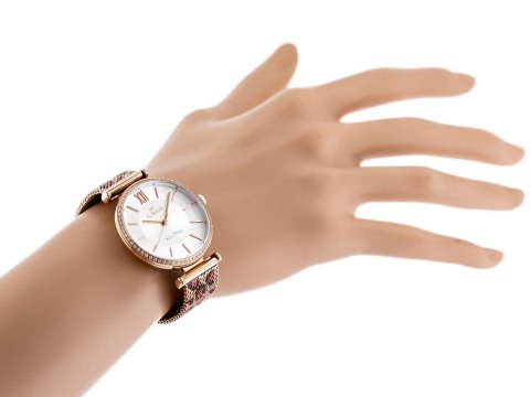 ZEGAREK G. ROSSI - G.R12964B-3D3 (zg878d) + BOX G. Rossi