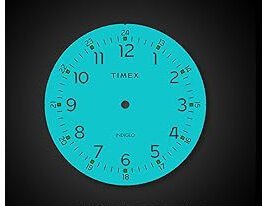 ZEGAREK DAMSKI TIMEX EASY READER 25mm TW2U79100 + BOX Timex