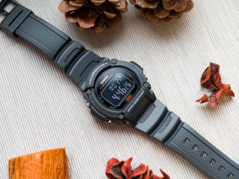 Zegarek Męski Casio W-219H-8BVEF (zd207g) + BOX Casio