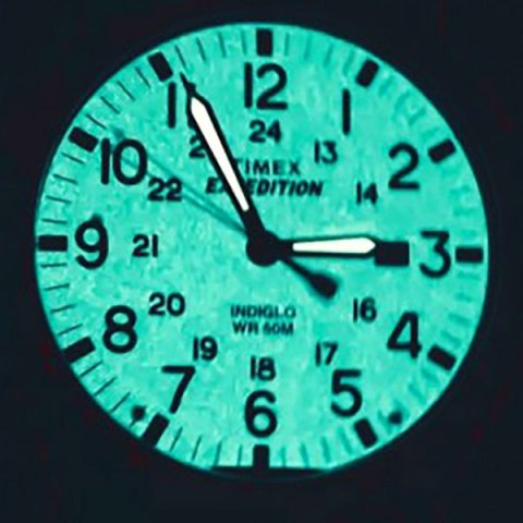 ZEGAREK MĘSKI TIMEX EXPEDITION TW4B12500 (zt106g) Timex