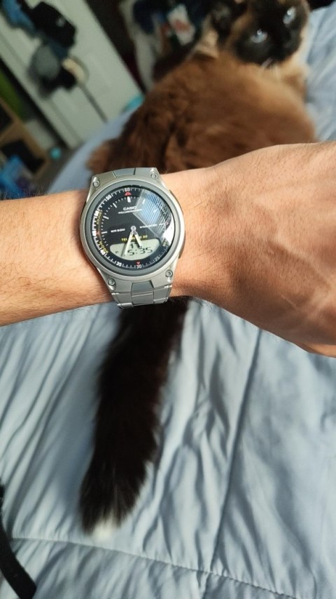 Zegarek Casio AW-80D-1AVES (zd137a) Casio