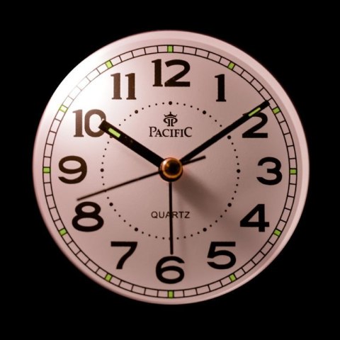BUDZIK PACIFIC Q860B - light green (do033i) Pacific