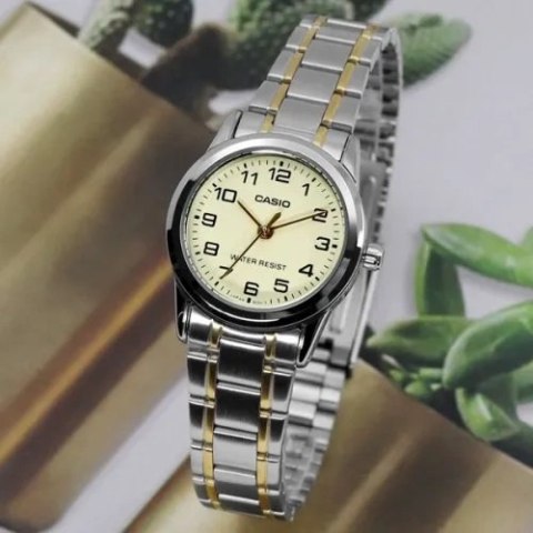 ZEGAREK DAMSKI CASIO LTP-V001SG-9B + BOX Casio
